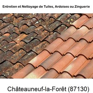 Nettoyage toiture à Châteauneuf-la-Forêt-87130