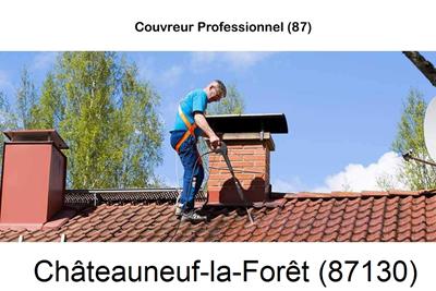 Couvreur à Châteauneuf-la-Forêt-87130