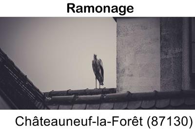 Votre couvreur pour un ramonage Châteauneuf-la-Forêt-87130