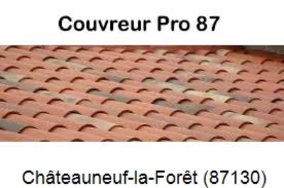 Réparation fuite à Châteauneuf-la-Forêt-87130