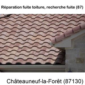 Votre couvreur pour la réparation des toits Châteauneuf-la-Forêt-87130