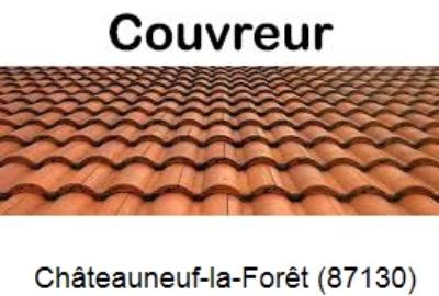 Toiture réparation à Châteauneuf-la-Forêt-87130