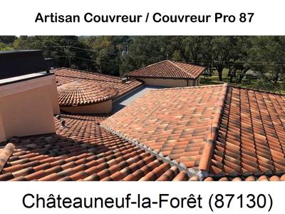 Votre couvreur dans le 87 pour la réparation de votre couverture à Châteauneuf-la-Forêt-87130