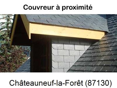 Artisan charpentier 87 Châteauneuf-la-Forêt-87130