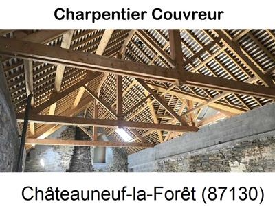 Votre charpentier, travaux de charpente Châteauneuf-la-Forêt-87130