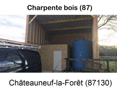 charpente traditionnelle à Châteauneuf-la-Forêt-87130