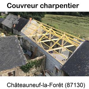 Votre artisan en charpente illustration Châteauneuf-la-Forêt-87130