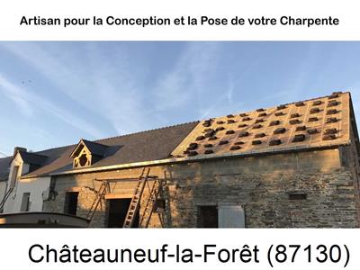 Rénovation charpente Châteauneuf-la-Forêt-87130