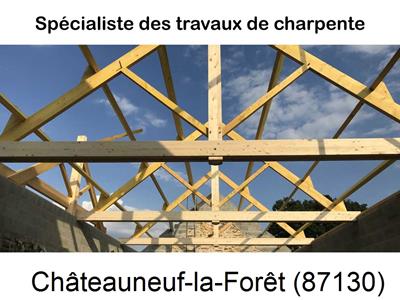 couvreur, entreprise batîment à Châteauneuf-la-Forêt-87130