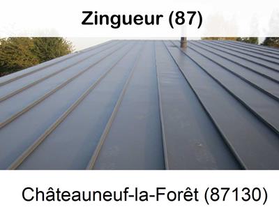 Votre zingueur en image à Châteauneuf-la-Forêt-87130