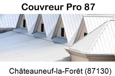 Entreprise de zinguerie à Châteauneuf-la-Forêt-87130