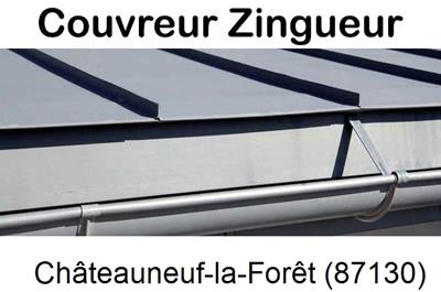 Photo toiture zinc Châteauneuf-la-Forêt-87130