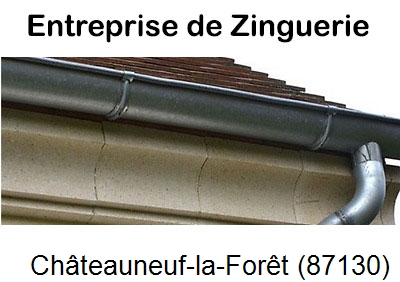 Artisan couvreur zingueur Châteauneuf-la-Forêt-87130