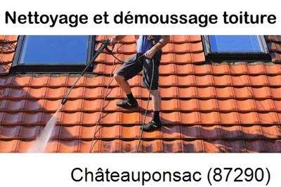 Artisan couvreur propose anti-mousse à Châteauponsac-87290