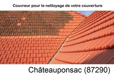 Entreprise de couverture à Châteauponsac-87290