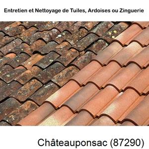 Nettoyage toiture à Châteauponsac-87290