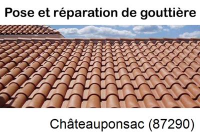 entreprise de gouttière à Châteauponsac-87290