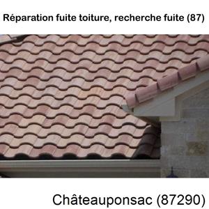 Votre couvreur pour la réparation des toits Châteauponsac-87290