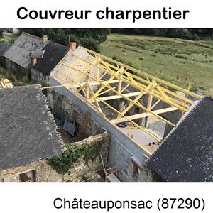 Votre artisan en charpente illustration Châteauponsac-87290