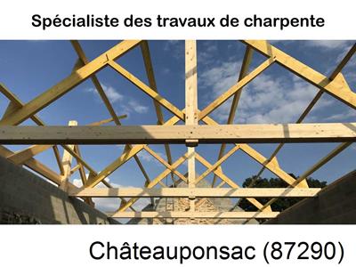 couvreur, entreprise batîment à Châteauponsac-87290