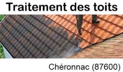 Démoussage sur toiture ardoise et tuile Chéronnac-87600