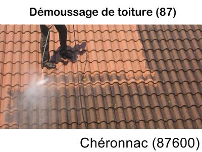 Toiture démoussage Chéronnac-87600