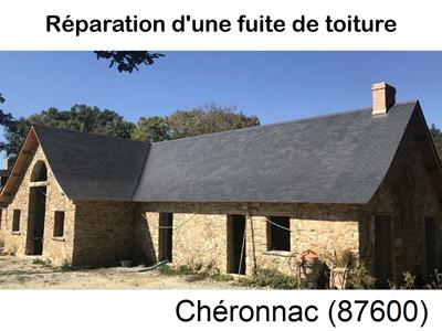 Artisan couvreur à la recherche d'une fuite Chéronnac-87600