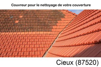 Entreprise de couverture à Cieux-87520