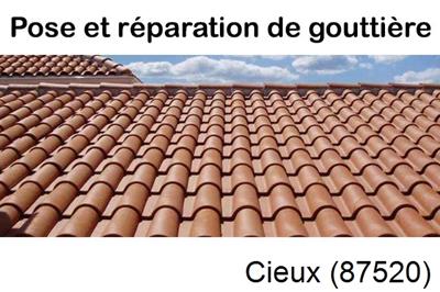 gouttière aluminium en continu à Cieux-87520