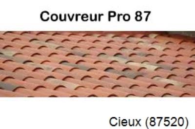 Artisan couvreur à la recherche d'une fuite Cieux-87520