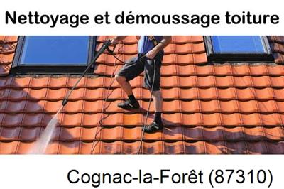 Artisan couvreur propose anti-mousse à Cognac-la-Forêt-87310