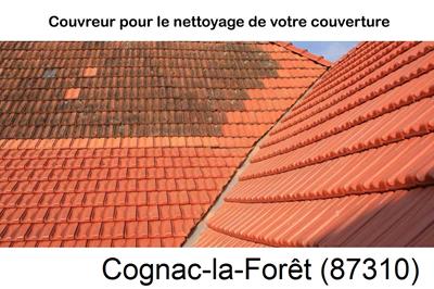 Entreprise de couverture à Cognac-la-Forêt-87310