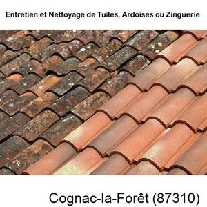 Nettoyage toiture à Cognac-la-Forêt-87310