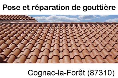 entreprise de gouttière à Cognac-la-Forêt-87310