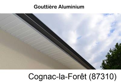 gouttière aluminium en continu à Cognac-la-Forêt-87310