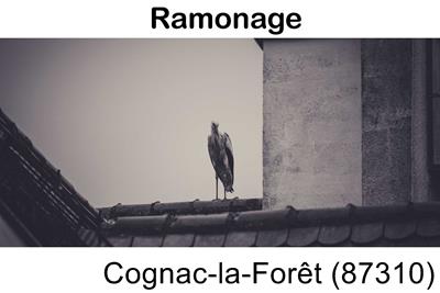 Votre couvreur pour un ramonage Cognac-la-Forêt-87310