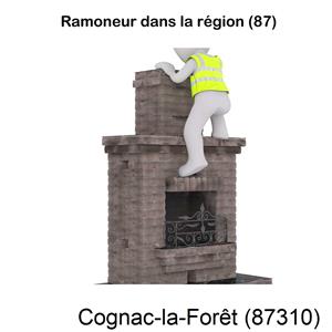 Couvreur ramoneur Cognac-la-Forêt-87310