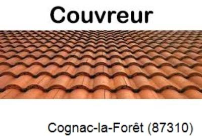 Toiture réparation à Cognac-la-Forêt-87310