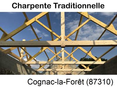 La référence en recherche de fuite toiture à Cognac-la-Forêt-87310