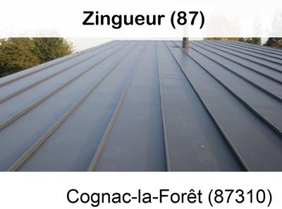 Votre zingueur en image à Cognac-la-Forêt-87310