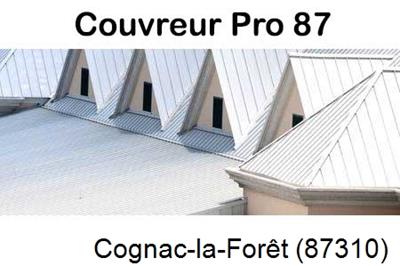 Entreprise de zinguerie à Cognac-la-Forêt-87310