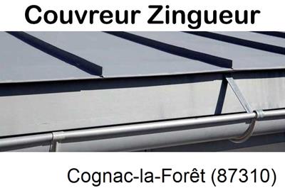 Photo toiture zinc Cognac-la-Forêt-87310