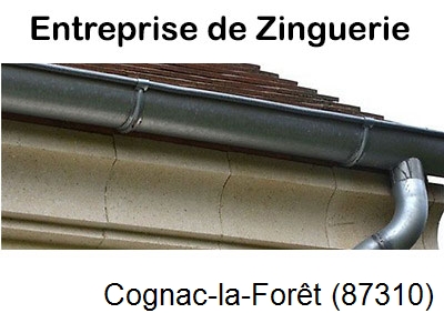 Artisan couvreur zingueur Cognac-la-Forêt-87310