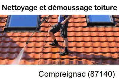 Artisan couvreur propose anti-mousse à Compreignac-87140