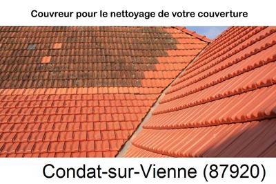 Entreprise de couverture à Condat-sur-Vienne-87920