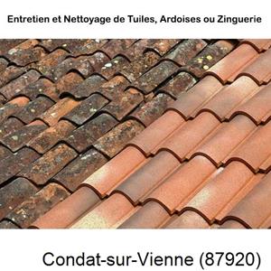 Nettoyage toiture à Condat-sur-Vienne-87920