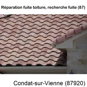 Votre couvreur pour la réparation des toits Condat-sur-Vienne-87920