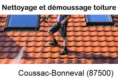 Artisan couvreur propose anti-mousse à Coussac-Bonneval-87500