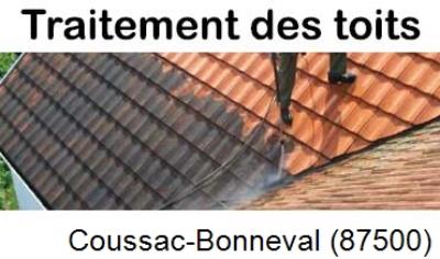 Démoussage sur toiture ardoise et tuile Coussac-Bonneval-87500