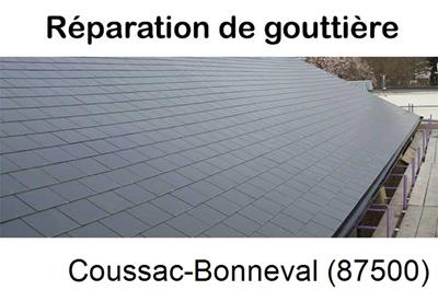 Pose gouttière pvc à Coussac-Bonneval-87500